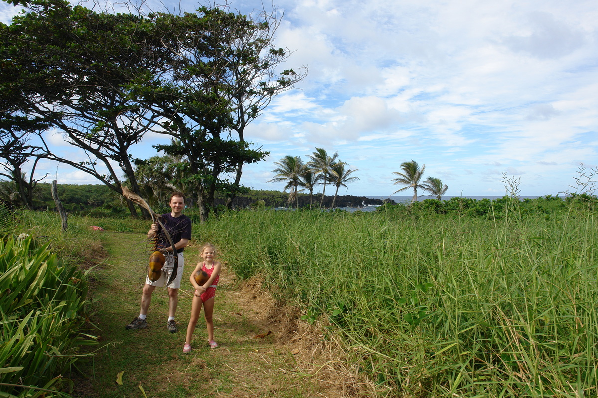 2008/10/Hawaii/Maui/RoadToHana/4-BlackSandBeach/Coconuts/DSC09792