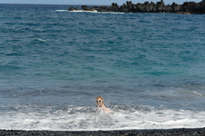 2008/10/Hawaii/Maui/RoadToHana/4-BlackSandBeach/DSC09709