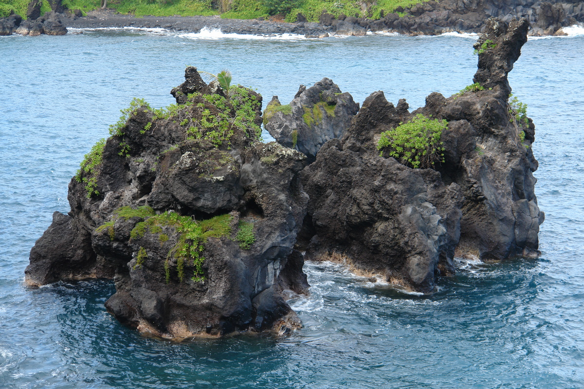 2008/10/Hawaii/Maui/RoadToHana/4-BlackSandBeach/DSC09737