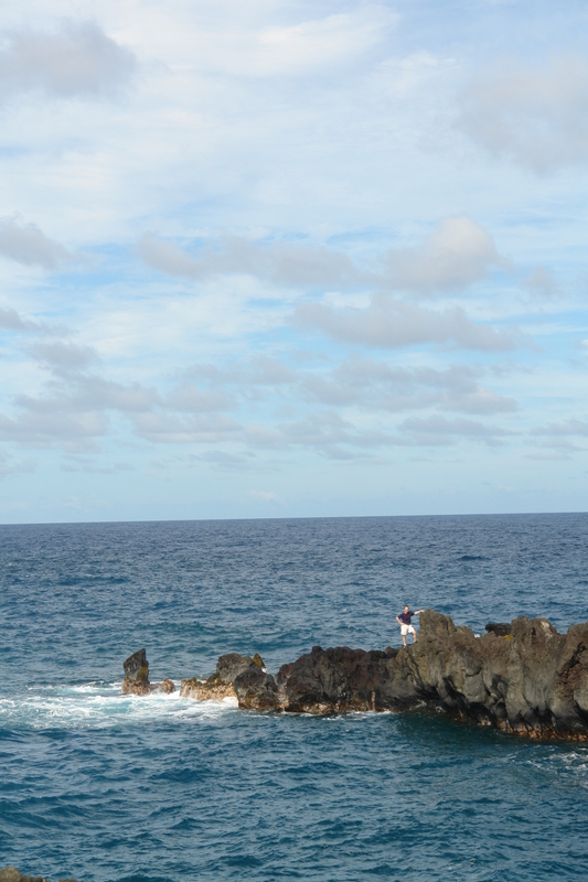 2008/10/Hawaii/Maui/RoadToHana/4-BlackSandBeach/DSC09769