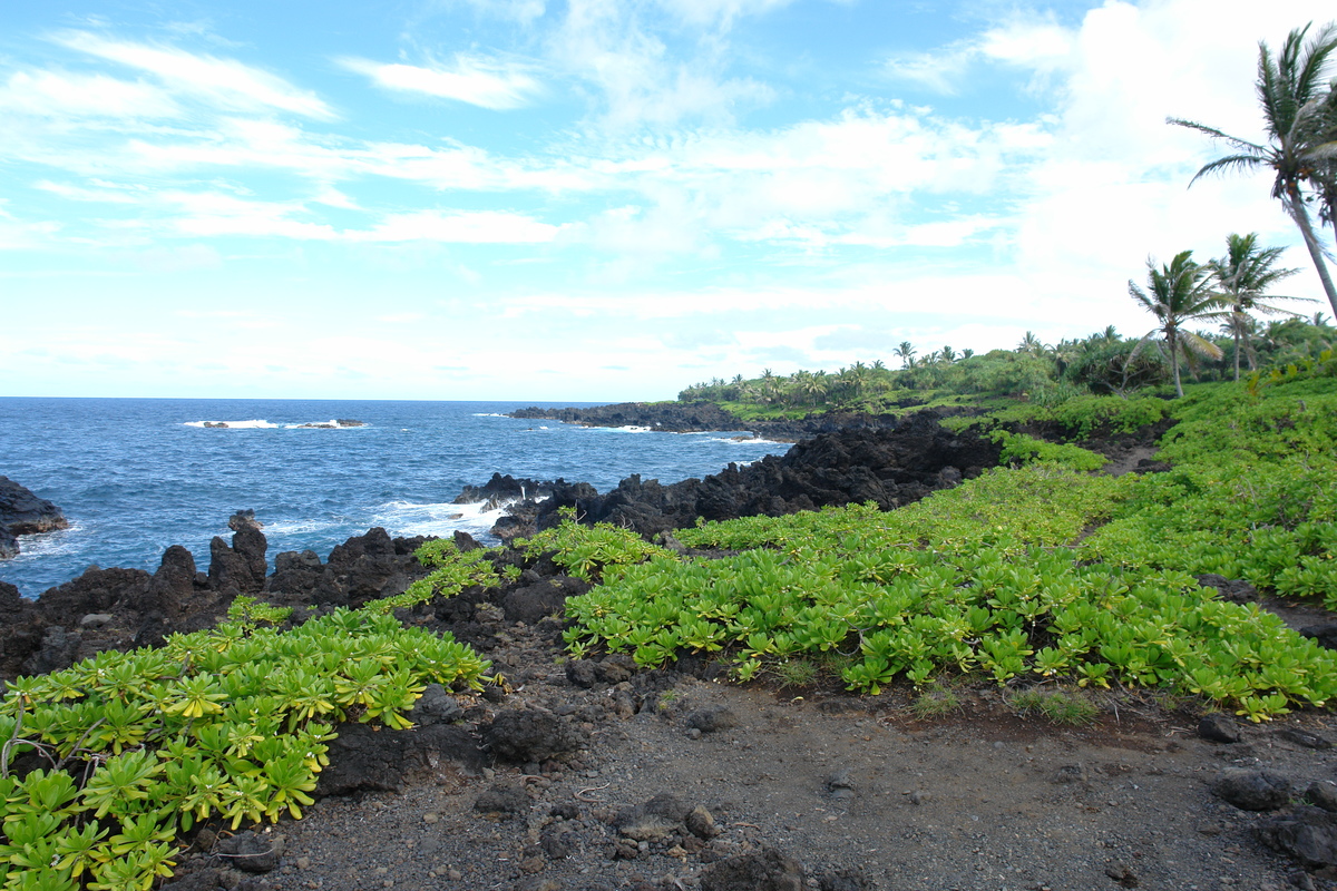 2008/10/Hawaii/Maui/RoadToHana/4-BlackSandBeach/DSC09771