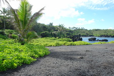 2008/10/Hawaii/Maui/RoadToHana/4-BlackSandBeach/DSC09778