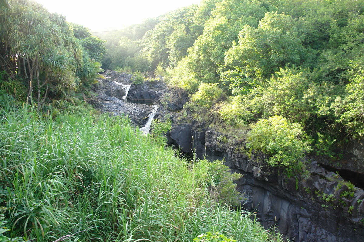 2008/10/Hawaii/Maui/RoadToHana/5-SacredPools/DSC09817