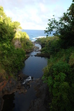 2008/10/Hawaii/Maui/RoadToHana/5-SacredPools/DSC09819