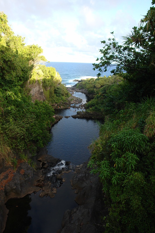 2008/10/Hawaii/Maui/RoadToHana/5-SacredPools/DSC09819