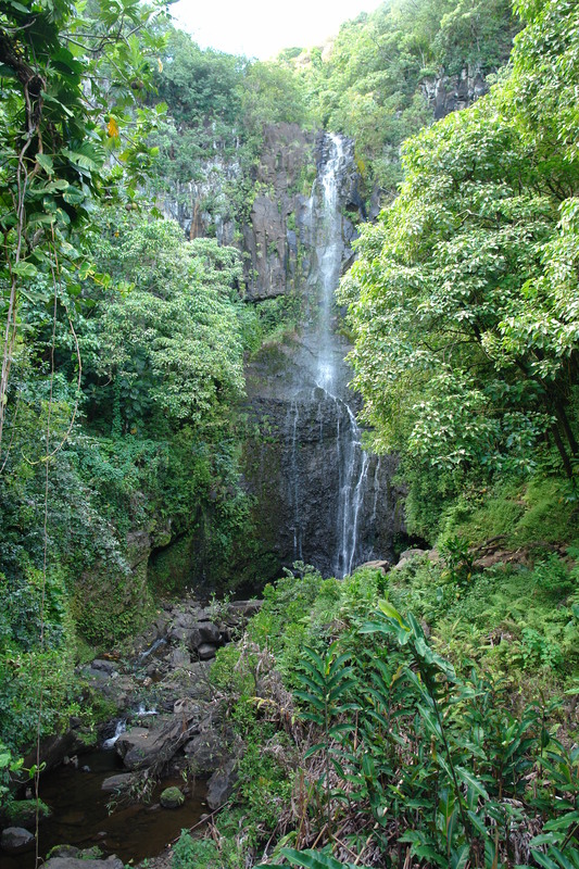 2008/10/Hawaii/Maui/RoadToHana/3-Waterfall-2/DSC09797