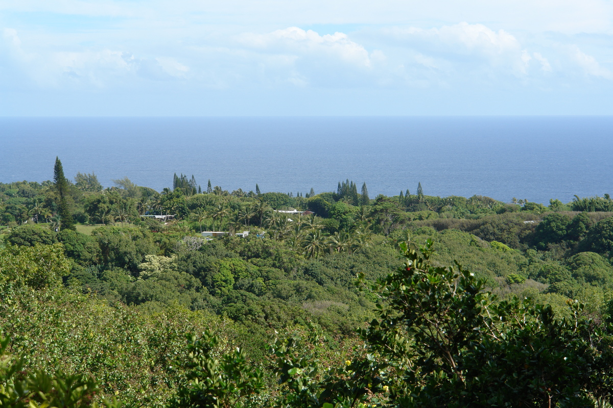 2008/10/Hawaii/Maui/RoadToHana/DSC09632