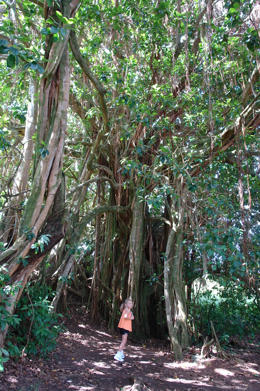 2008/10/Hawaii/Maui/RoadToHana/DSC09633