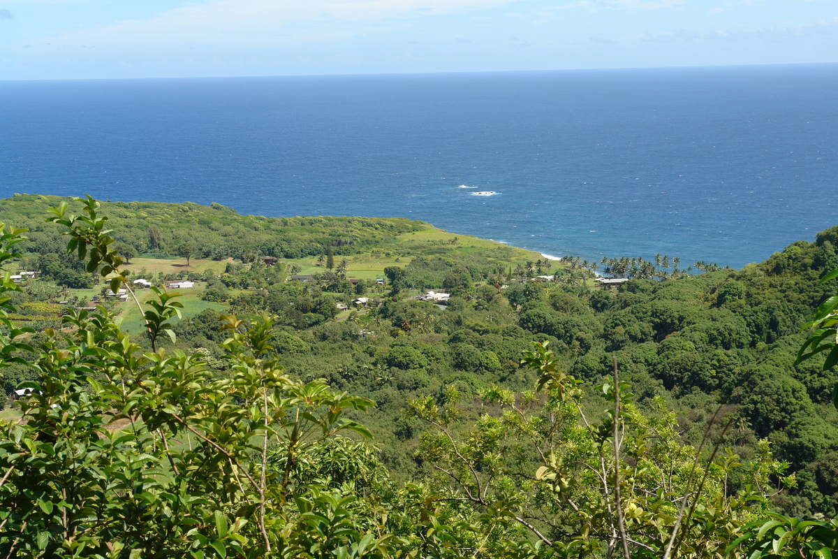 2008/10/Hawaii/Maui/RoadToHana/DSC09658