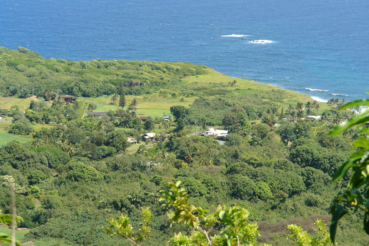 2008/10/Hawaii/Maui/RoadToHana/DSC09659