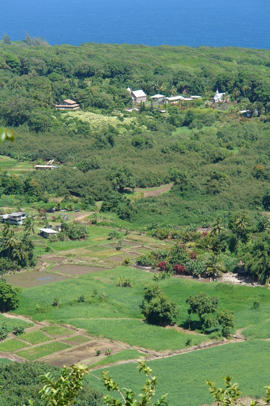 2008/10/Hawaii/Maui/RoadToHana/DSC09661