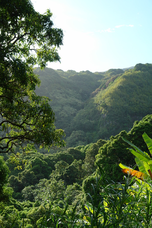 2008/10/Hawaii/Maui/RoadToHana/DSC09795