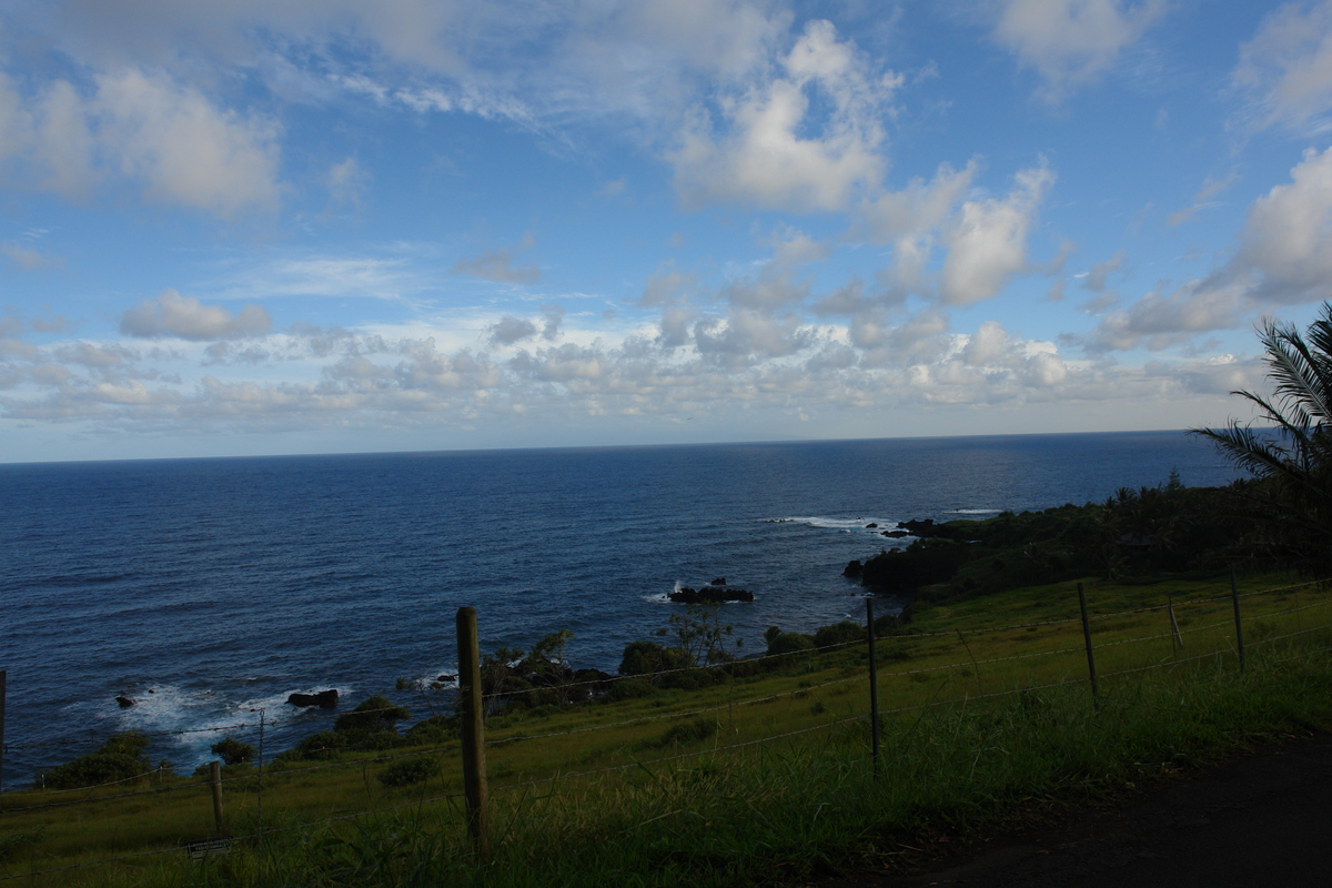 2008/10/Hawaii/Maui/RoadToHana/DSC09809