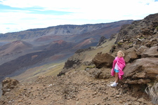 2008/10/Hawaii/Maui/Volcano/DSC09907