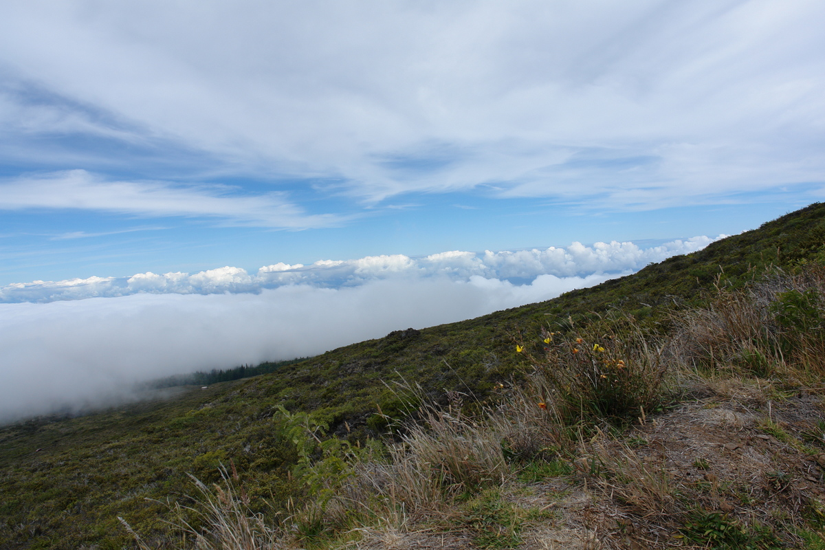 2008/10/Hawaii/Maui/Volcano/DSC09915