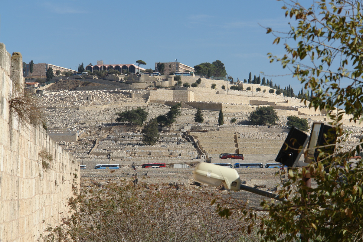 2010/12/MediterraneanCruise/08-Israel/DSC13639