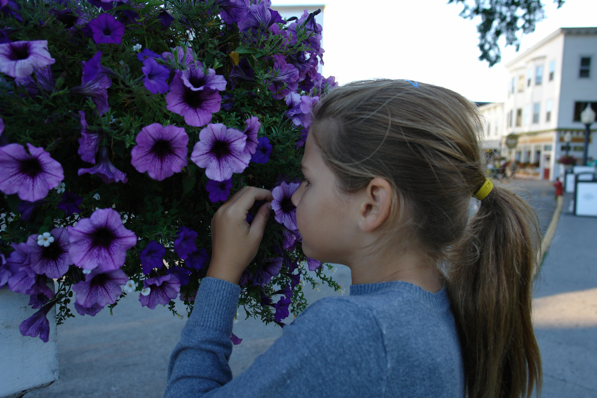 2012/08/MackinawIsland/DSC15327