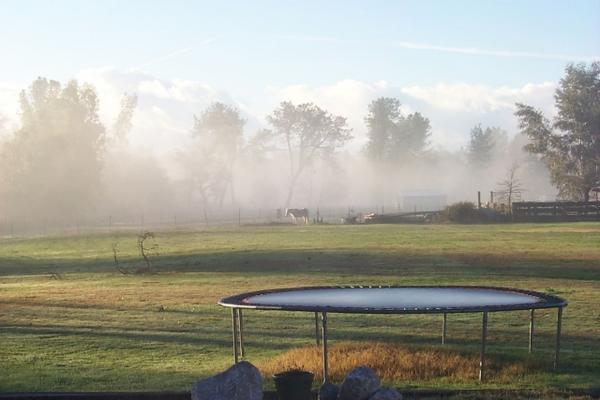 morning-fog