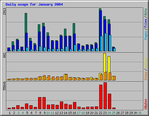 Daily usage for January 2004