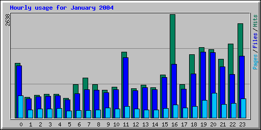 Hourly usage for January 2004